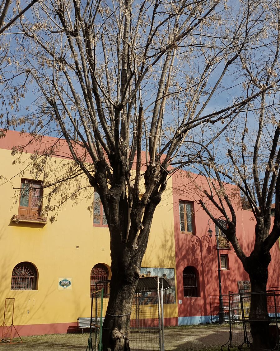 Bare winter trees framing colorful houses in Caminito, La Boca, Buenos Aires